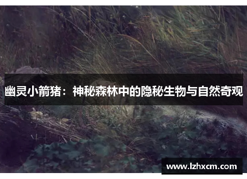 幽灵小箭猪：神秘森林中的隐秘生物与自然奇观